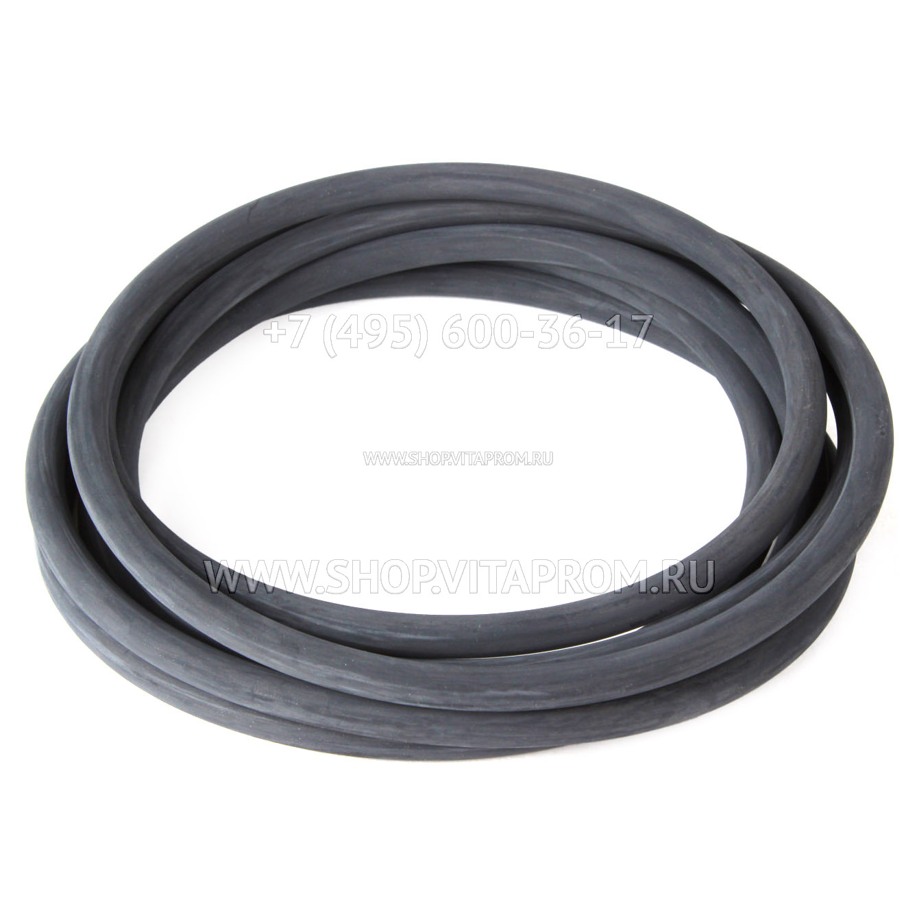 Уплотнительное кольцо Kromschroder 03109164 для GFK 200/250 Уплотнительное кольцо Kromschroder 03109164 для GFK 200/250